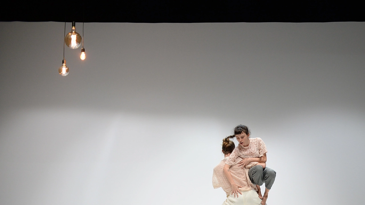 dance hub dance hub