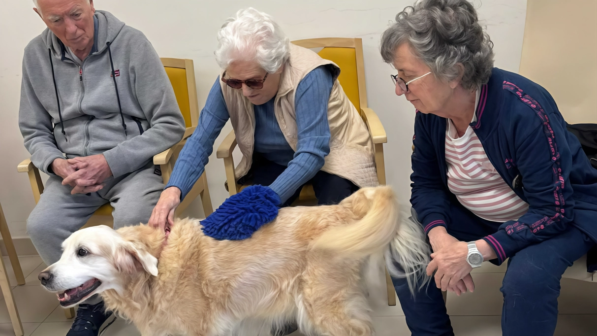 L’associazione BarryDog Campus di Fosdinovo ha portato i suoi cagnoloni tra gli anziani "Il contatto con gli animali è importantissimo anche per le funzioni motorie e cognitive". L’associazione BarryDog Campus di Fosdinovo ha portato i suoi cagnoloni tra gli anziani "Il contatto con gli animali è importantissimo anche per le funzioni motorie e cognitive".