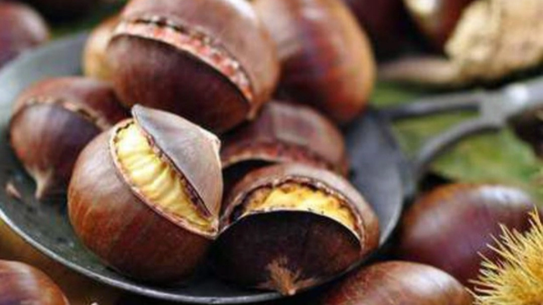 Castagne Castagne