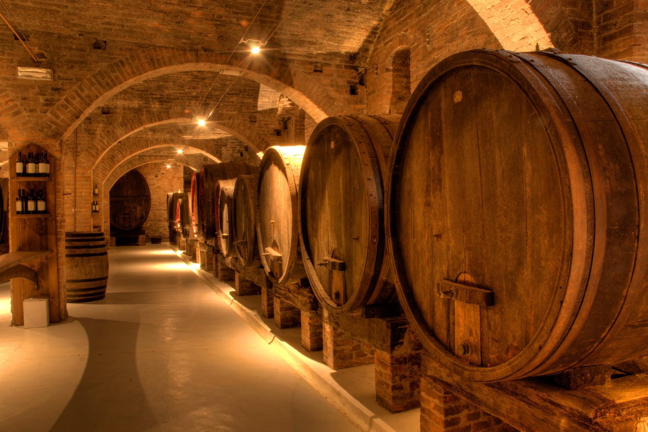 Miglior sommelier della Toscana, il campione 2025 si elegge a San Gimignano Miglior sommelier della Toscana, il campione 2025 si elegge a San Gimignano