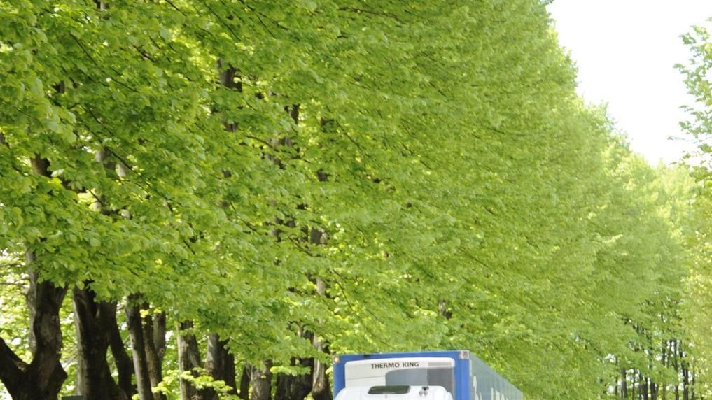 Auto in coda lungo i viali, adesso si lavora a una soluzione tra i Comuni della Piana Auto in coda lungo i viali, adesso si lavora a una soluzione tra i Comuni della Piana