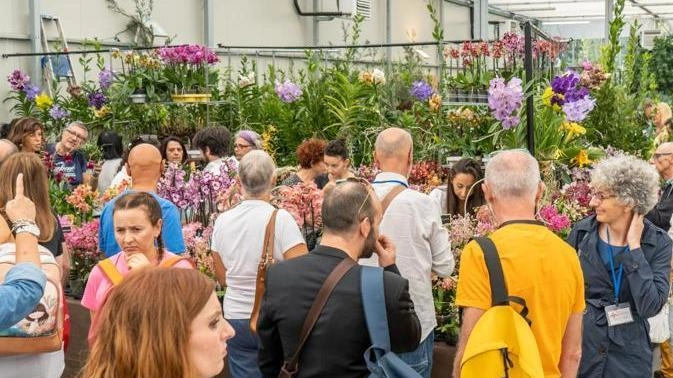 A Pistoia, convegno su turismo sostenibile e gemellaggio con Shirakawa. Premio speciale Mati1909 per esemplare in mostra. Giudice giapponese. A Pistoia, convegno su turismo sostenibile e gemellaggio con Shirakawa. Premio speciale Mati1909 per esemplare in mostra. Giudice giapponese.