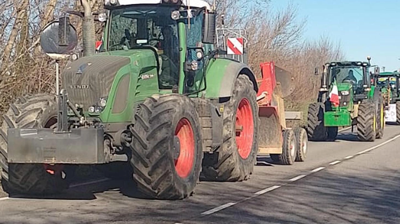 L’imprenditore cortonese Faralli e il collega senese Iacomini annunciano la mobilitazione della categoria L’imprenditore cortonese Faralli e il collega senese Iacomini annunciano la mobilitazione della categoria