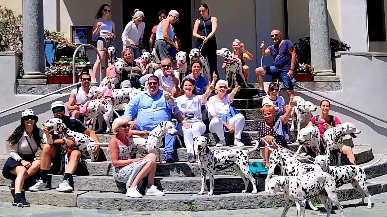In Valle d’Aosta la manifestazione con oltre 40 esemplari da tutta Italia In Valle d’Aosta la manifestazione con oltre 40 esemplari da tutta Italia