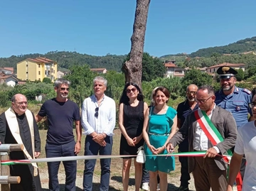 immagine articolo