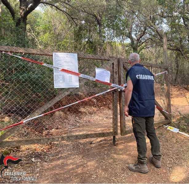 Strada nel bosco senza permessi. Due denunce Strada nel bosco senza permessi. Due denunce