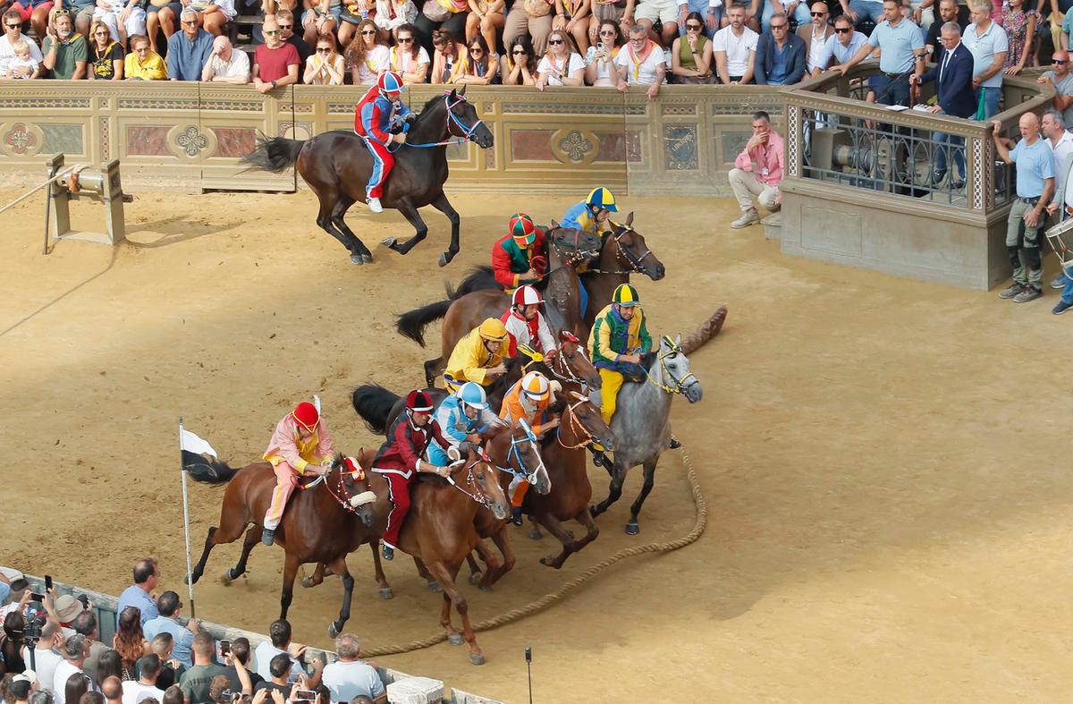 Palio, il maltempo condiziona: cavalli e fantini esperti sembrano avvantaggiati rispetto ai debuttanti