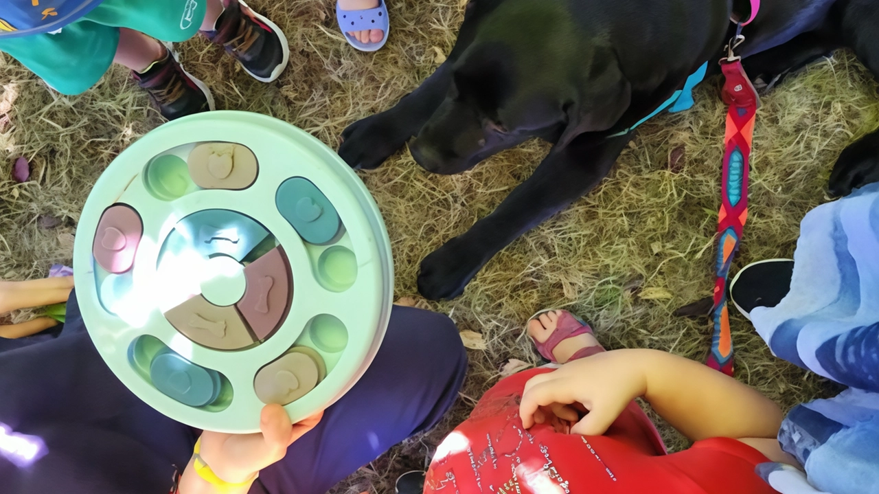 Bambini dei nidi comunali di Reggello incontrano Sofi, labrador della pet therapy di Antropozoa. Benefici a breve e lungo termine: responsabilità, empatia, riduzione dello stress. Progetto educativo prezioso. Bambini dei nidi comunali di Reggello incontrano Sofi, labrador della pet therapy di Antropozoa. Benefici a breve e lungo termine: responsabilità, empatia, riduzione dello stress. Progetto educativo prezioso.