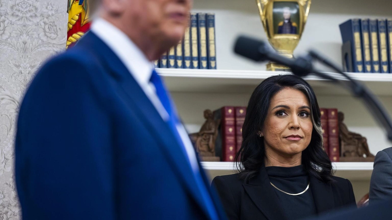 Si congratula con Gabbard per informazioni nascoste su voto 2016 Si congratula con Gabbard per informazioni nascoste su voto 2016