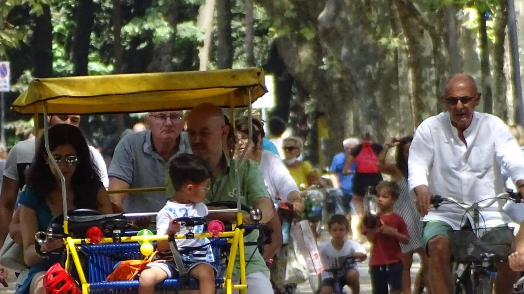 Festival Green. L’anima verde della Pineta