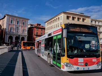 immagine articolo