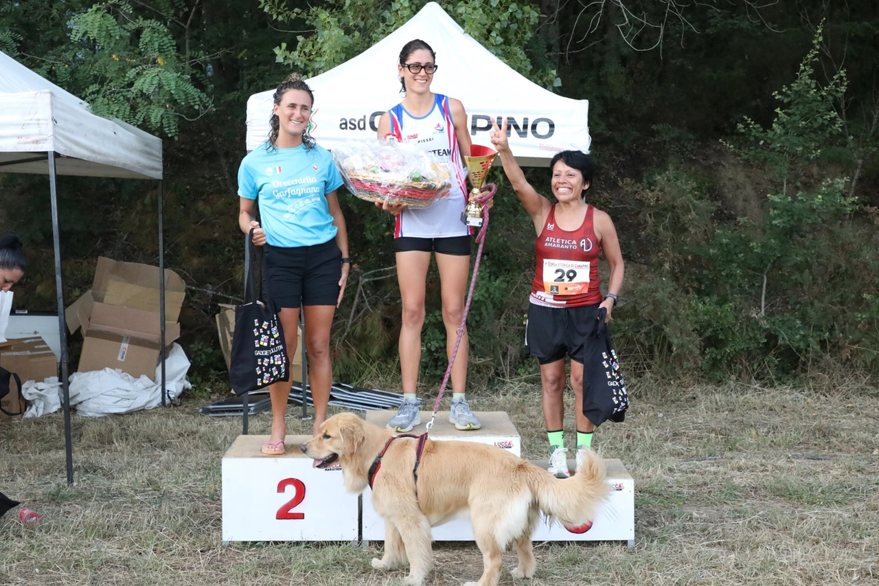 immagine di sfondo 6