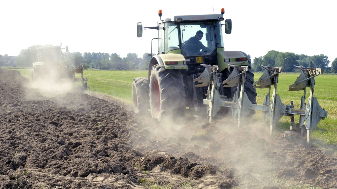 Il comparto dell’agricoltura è tra quelli più in sofferenza