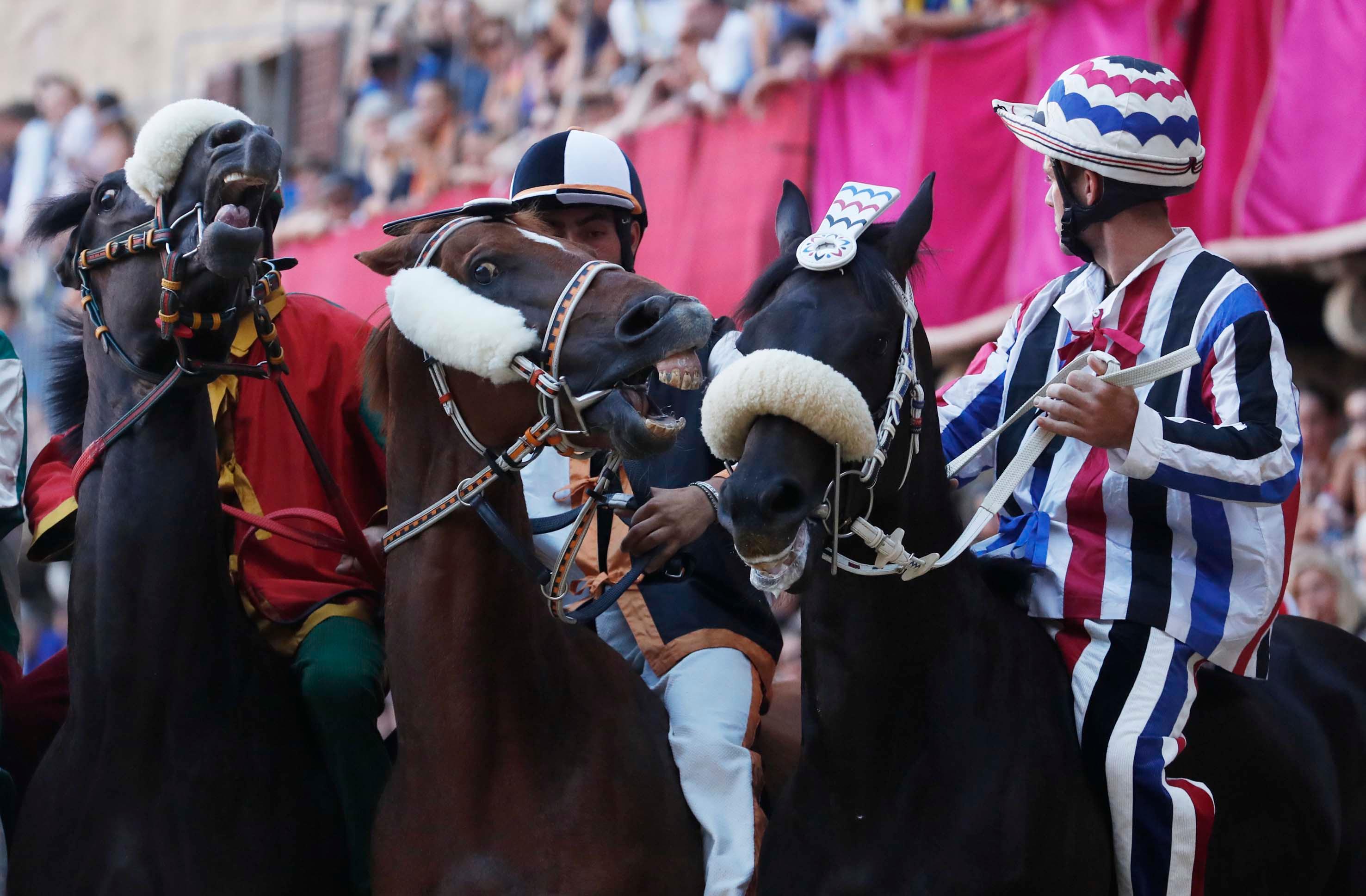 Dieci ragioni per un Palio. Tanta voglia di riscatto per molti protagonisti Dieci ragioni per un Palio. Tanta voglia di riscatto per molti protagonisti