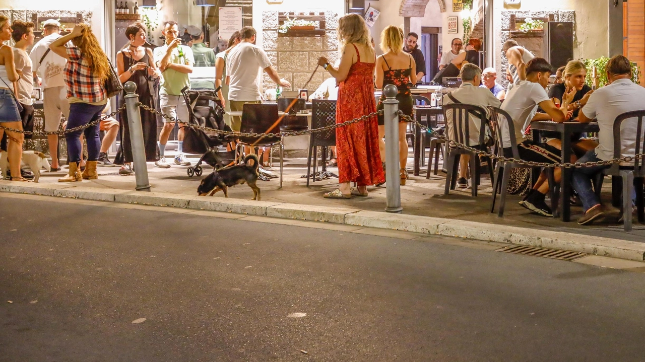 Esibizioni, spettacoli e food nelle vie del centro storico. Appuntamento l’11 settembre.