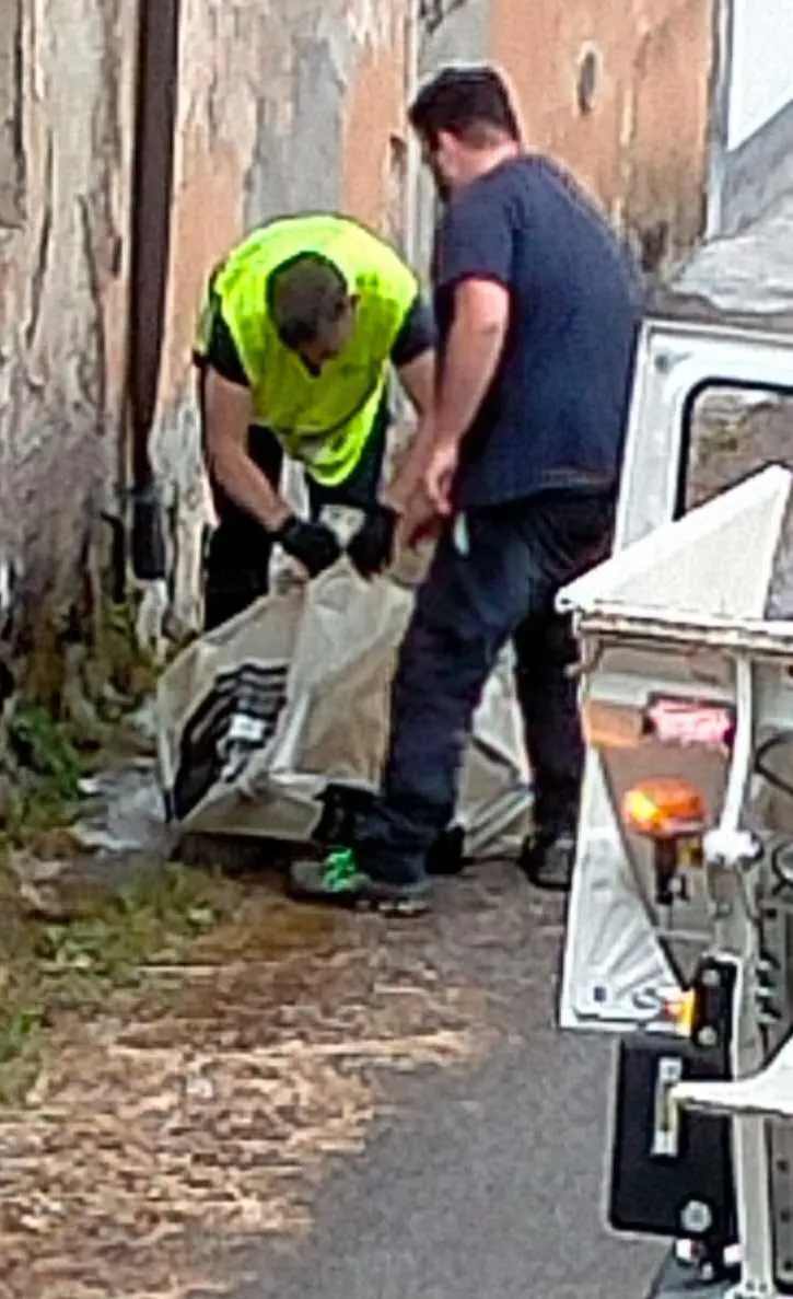 Ucciso un daino con un colpo di fucile