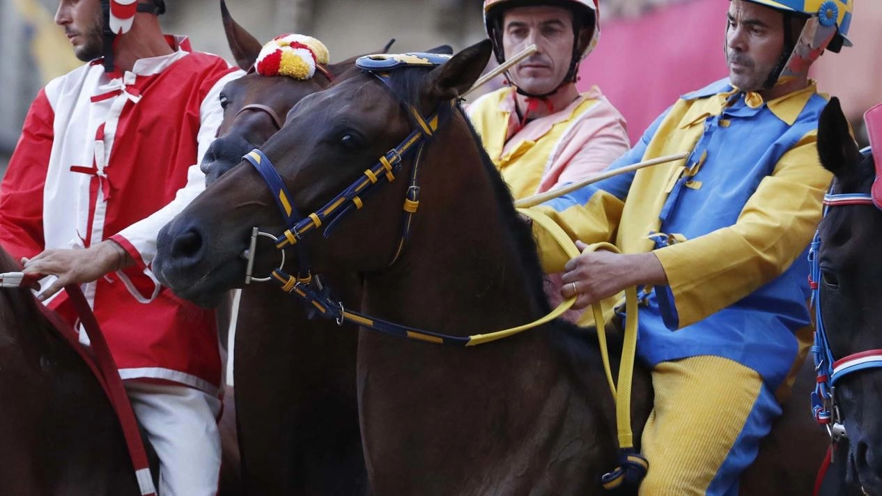 Il cavallo Entu, montato da Amsicora, al centro delle polemiche
