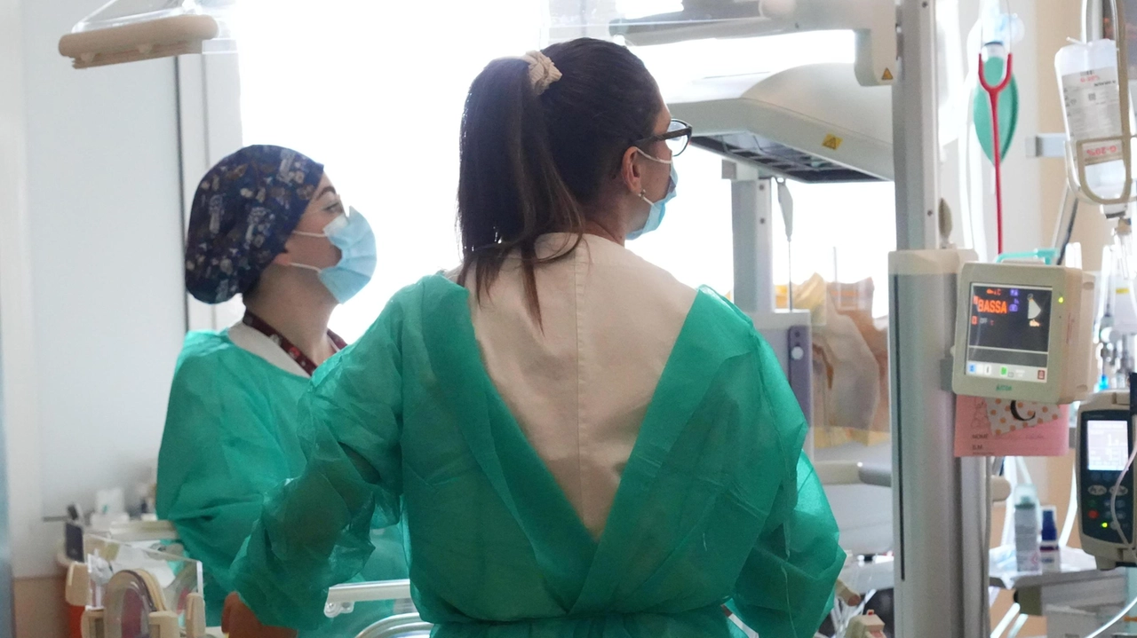 L’autrice lavora all’ospedale ‘Versilia’ e, nel romanzo autobiografico, racconta la sua vita. Ha quattro figli maschi, tre gemelli adolescenti e il piccolo di 6 anni: ha realizzato i suoi sogni .