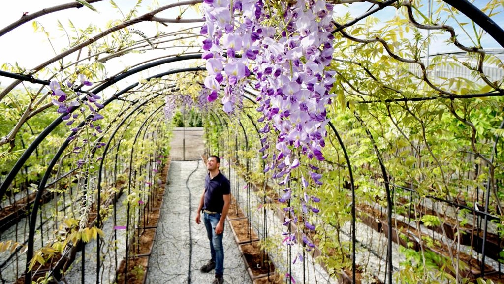 Nel summit con i più grandi vivaisti europei che si è svolto al Nursery Campus si è parlato del futuro del comparto verde Nel summit con i più grandi vivaisti europei che si è svolto al Nursery Campus si è parlato del futuro del comparto verde
