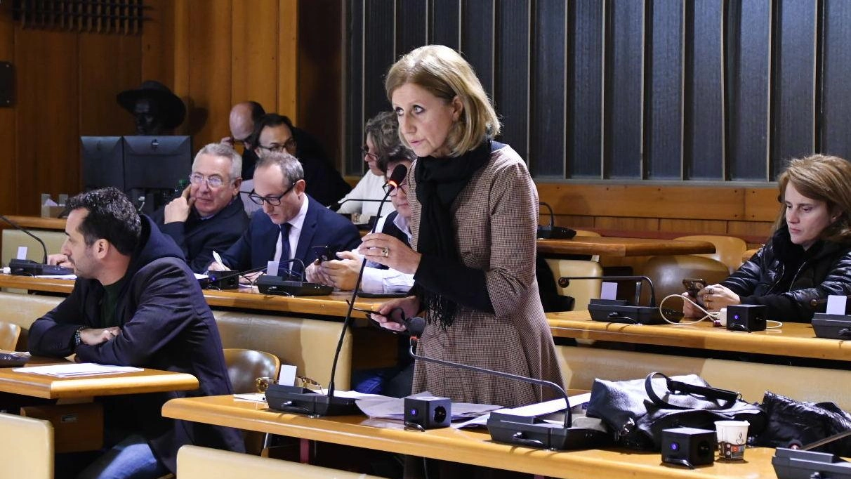 La consigliera comunale del Polo Progressista e di Sinistra, Daniele Bennati La consigliera comunale del Polo Progressista e di Sinistra, Daniele Bennati