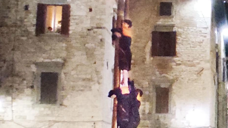 A Gubbio il tradizionale Albero della Cuccagna nel quartiere di San Martino: folla gremita per assistere al rinnovamento di una storica tradizione cittadina. Squadra de Gli Angeli vince il primo posto. A Gubbio il tradizionale Albero della Cuccagna nel quartiere di San Martino: folla gremita per assistere al rinnovamento di una storica tradizione cittadina. Squadra de Gli Angeli vince il primo posto.
