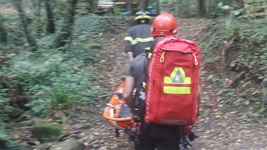 Vigili del fuoco (foto di repertorio)