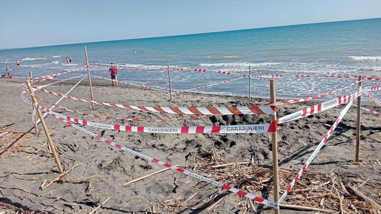 I soccorritori guidati dal fratellino ma era già troppo tardi I soccorritori guidati dal fratellino ma era già troppo tardi