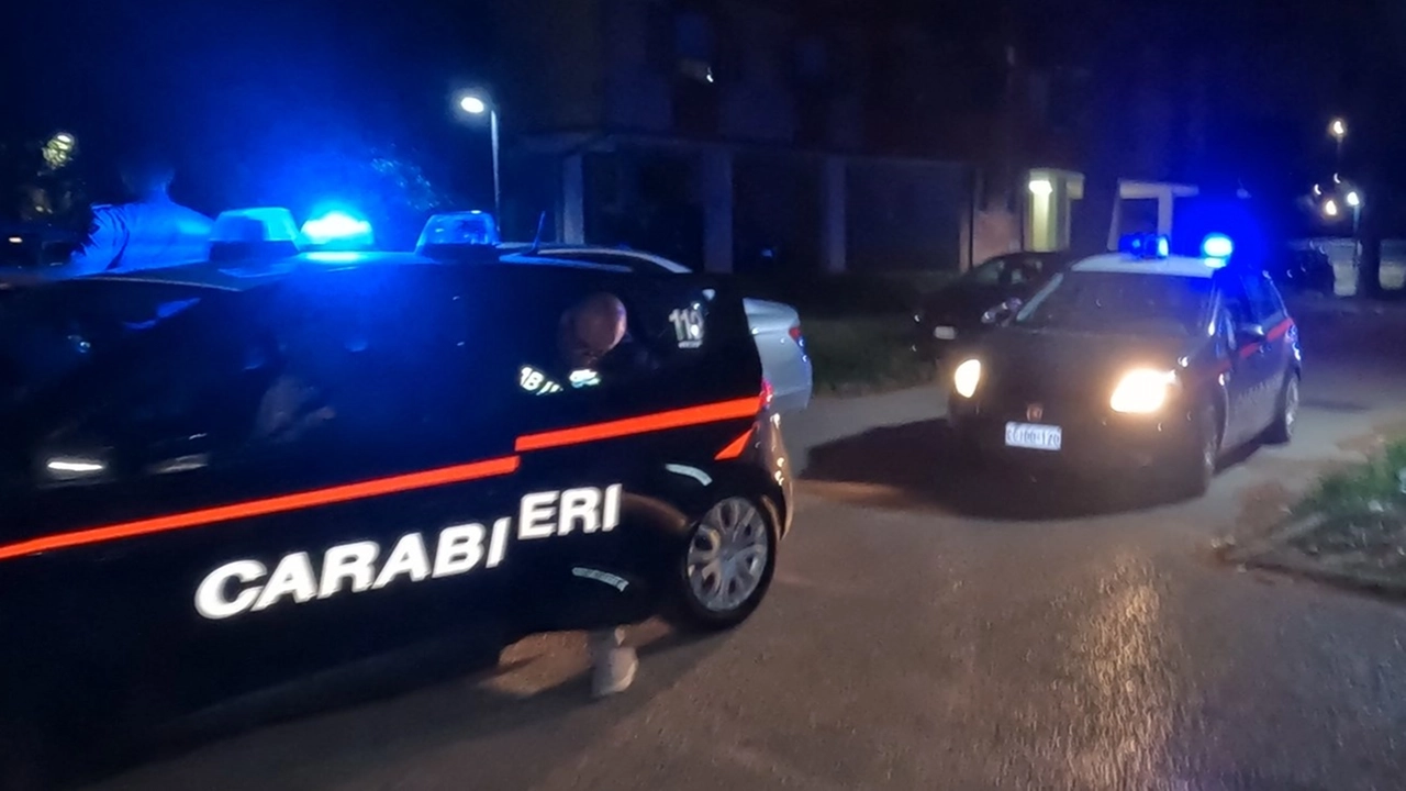 Carabinieri (foto di repertorio) Carabinieri (foto di repertorio)
