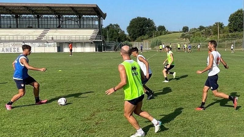 La Pistoiese affronta il ritiro estivo a Larciano con intensi allenamenti e focus sul 3-5-2. Giacomarro prepara la squadra per le amichevoli, con giovani come Paci pronti a emergere. La Pistoiese affronta il ritiro estivo a Larciano con intensi allenamenti e focus sul 3-5-2. Giacomarro prepara la squadra per le amichevoli, con giovani come Paci pronti a emergere.