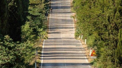 Il viale dei Cipressi a Bolgheri Il viale dei Cipressi a Bolgheri