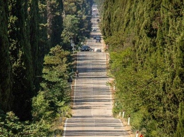 immagine articolo