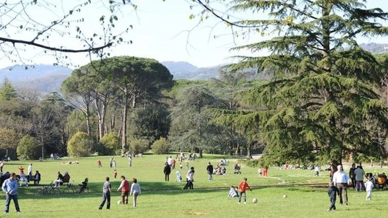 L’intervento di Confesercenti sul tema del degrado in Pineta lancia un messaggio chiaro: «. Non si può consentire la distruzione della pineta e l’occupazione di altri parti della città che sono rese infrequentabili» L’intervento di Confesercenti sul tema del degrado in Pineta lancia un messaggio chiaro: «. Non si può consentire la distruzione della pineta e l’occupazione di altri parti della città che sono rese infrequentabili»