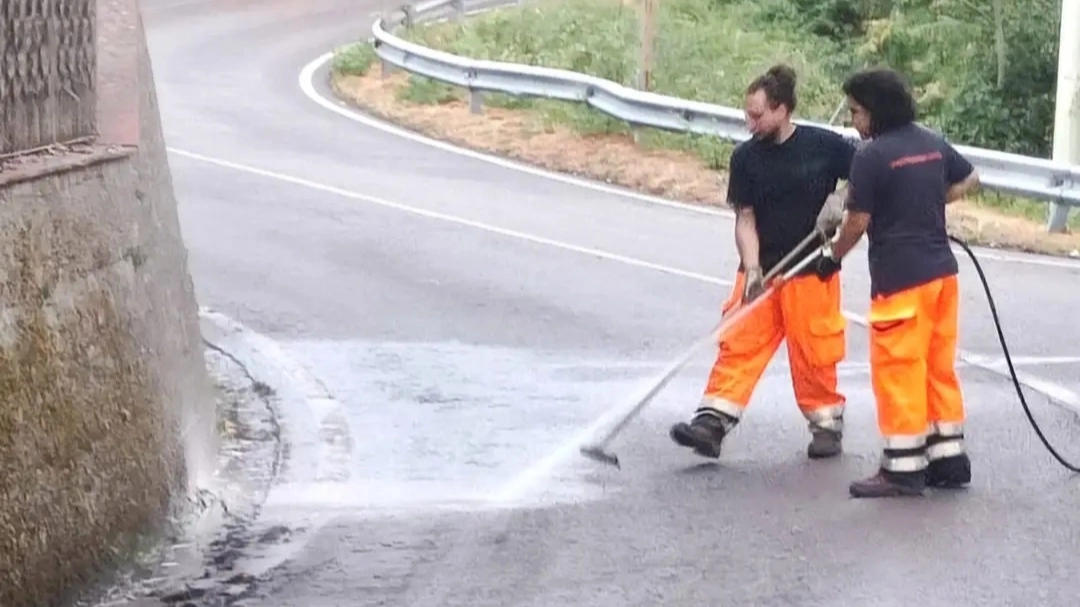 vab Fiesole a lavoro vab Fiesole a lavoro
