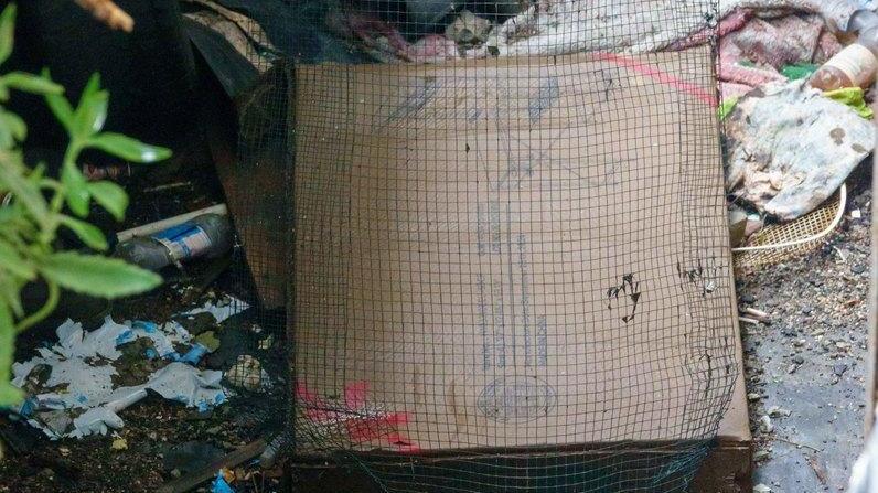 Via Naef, inquilini Arte scoraggiati: "Topi che scorrazzano sui balconi"