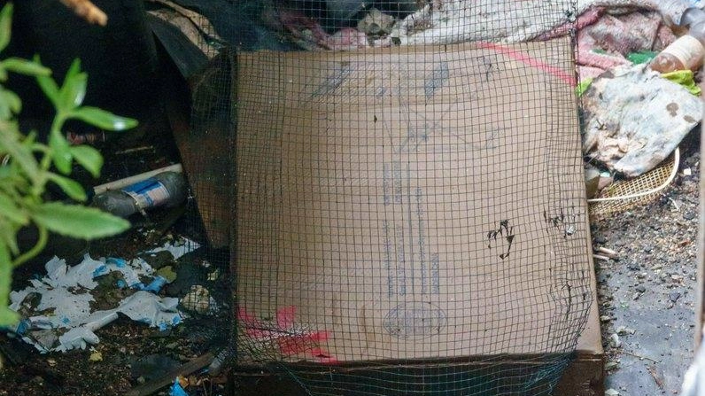 Giardini nell’incuria, garage incustodito da oltre un anno: "La gente viene a dormirci e c’è un giro di spaccio" Giardini nell’incuria, garage incustodito da oltre un anno: "La gente viene a dormirci e c’è un giro di spaccio"