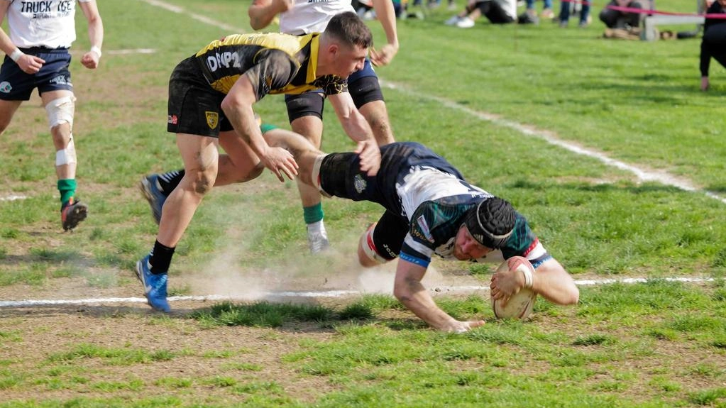 Una delle scorse partite dei Tigers contro l’Olbia Una delle scorse partite dei Tigers contro l’Olbia