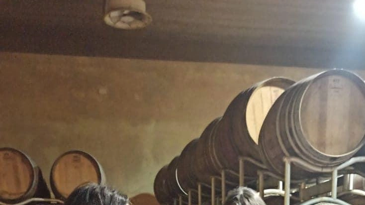 Visita. alla Tenuta Fanti. della Saccardi Visita. alla Tenuta Fanti. della Saccardi