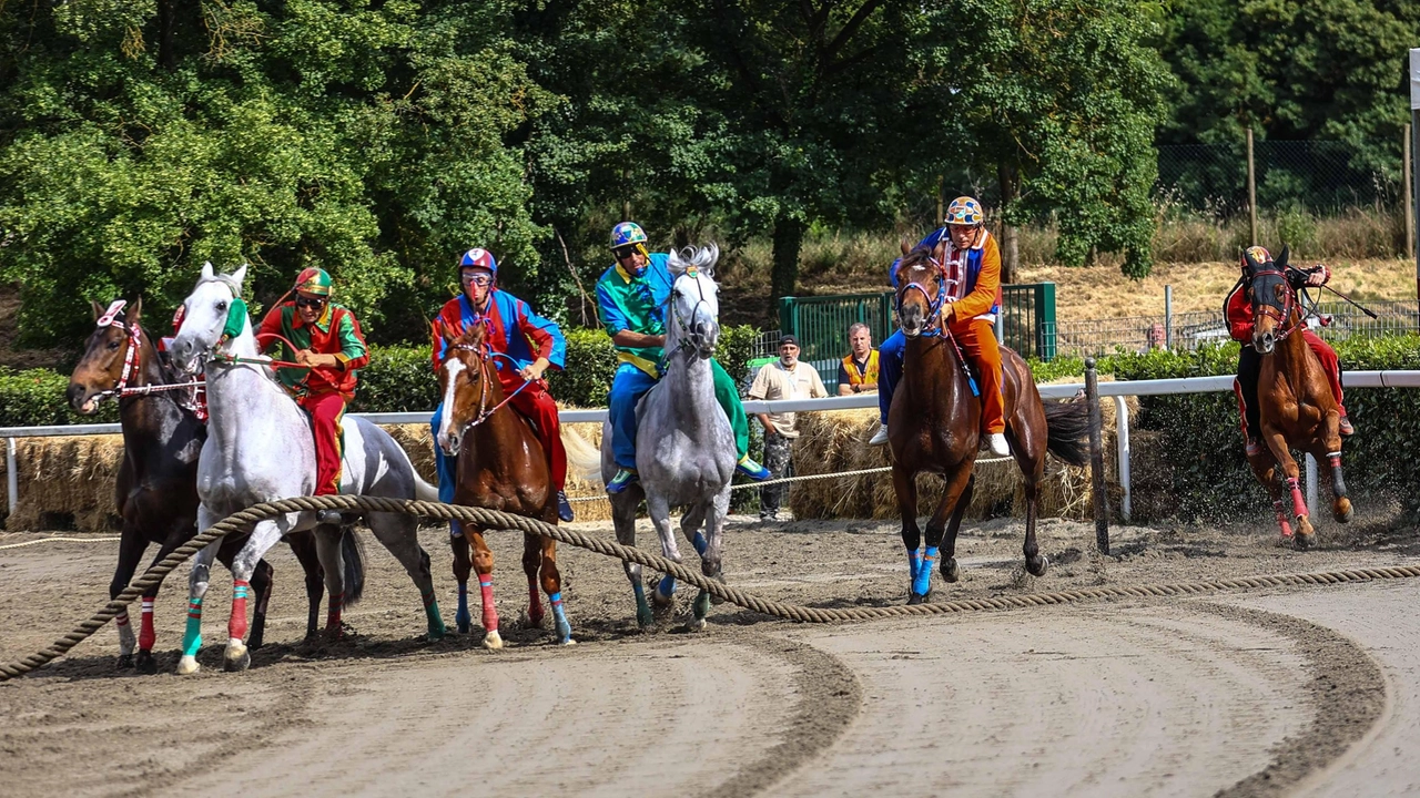 Settanta cavalli in corsa. La Buca del Palio è pronta