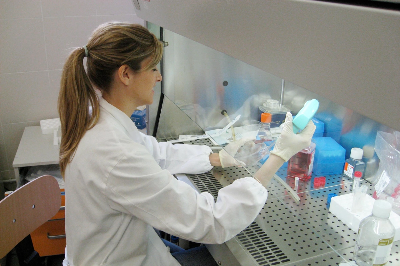 Un laboratorio in una immagine di repertorio. All'ospedale di Pistoia torna il punto prelievi dopo una serie di disagi