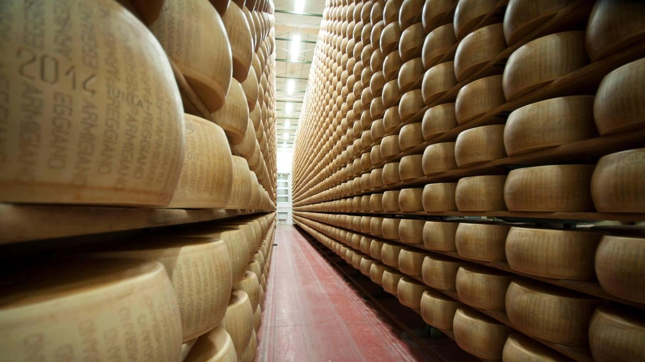 Grazie Made in Italy e qualità imprese danni forse più contenuti Grazie Made in Italy e qualità imprese danni forse più contenuti