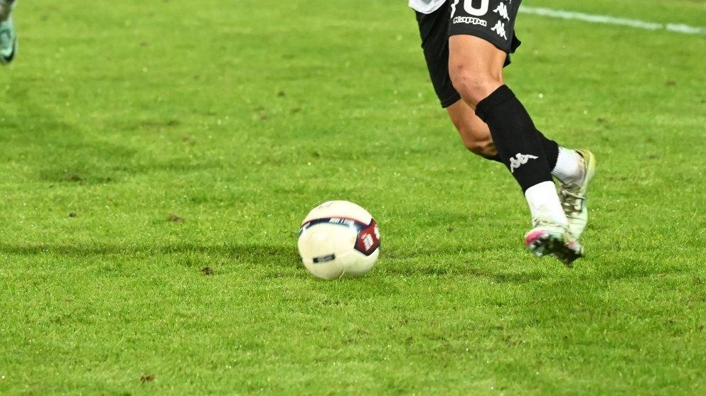 Sabato vittoria d’obbligo, Gorgone e Palmisani “in castigo“. L’obiettivo per i rossoneri adesso è arrivare al giro di boa con almeno 20 punti Sabato vittoria d’obbligo, Gorgone e Palmisani “in castigo“. L’obiettivo per i rossoneri adesso è arrivare al giro di boa con almeno 20 punti