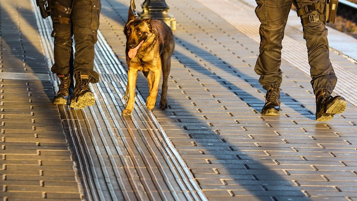 L’ordinanza della prefettura per motivi di sicurezza dopo gli ultimi episodi L’ordinanza della prefettura per motivi di sicurezza dopo gli ultimi episodi