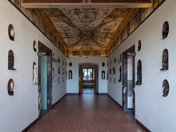 immagine articolo
