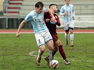 immagine articolo