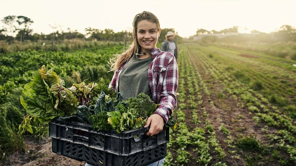 Il presidente della Regione Toscana punta sull’attrattività delle aree rurali e sulla crescita dell’agroalimentare come volano per l’economia. Con un occhio di riguardo all’imprenditoria femminile e ai giovani. . Il presidente della Regione Toscana punta sull’attrattività delle aree rurali e sulla crescita dell’agroalimentare come volano per l’economia. Con un occhio di riguardo all’imprenditoria femminile e ai giovani. .