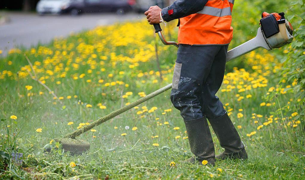https://www.lanazione.it/image-service/view/acePublic/alias/contentid/MGE0NGNjZmQtNjc1MS00/0/strade-bianche-e-verde-pubblico-al-via-i-lavori-di-manutenzione.jpeg