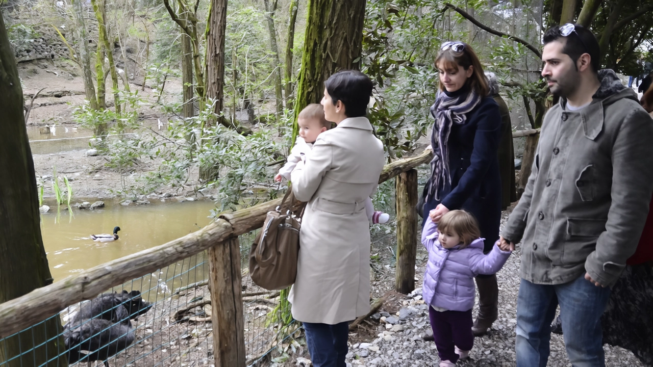 Galceti è nel cuore di tante famiglie pratesi che negli anni hanno portato i bambini a vedere da vicino gli animali (foto d’archivio)