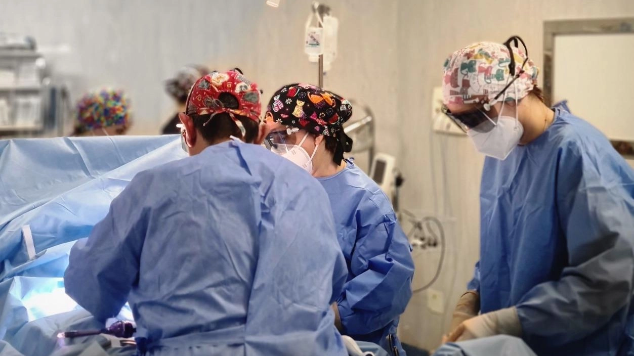 Non si placa la polemica sul taglio di un anestesista notturno in Ostetricia Non si placa la polemica sul taglio di un anestesista notturno in Ostetricia