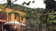 Partito il concorso di pittura "Artista diVino" organizzato dall’associazione Promo-Terr e dalla Tenuta Mariani (nella foto di repertorio) per artisti...