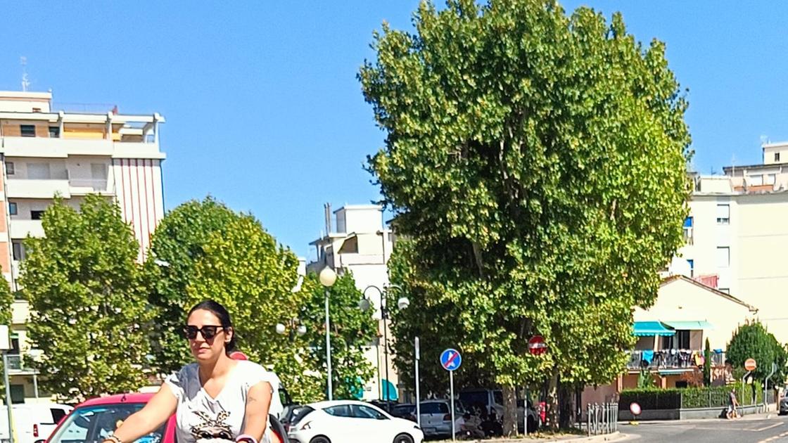 "Viabilità nel caos, sicurezza a rischio" "Viabilità nel caos, sicurezza a rischio"